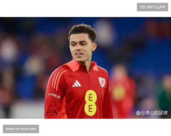 布伦南·约翰逊加盟水晶宫，创队史转会纪录